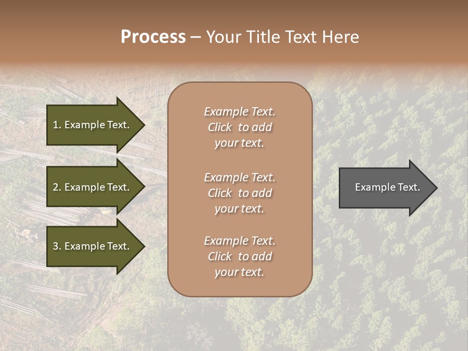 Pine Trees Rural Harvesting PowerPoint Template