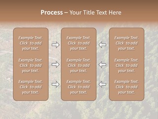 Pine Trees Rural Harvesting PowerPoint Template