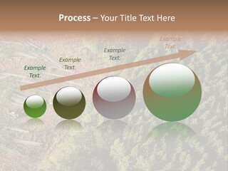 Pine Trees Rural Harvesting PowerPoint Template