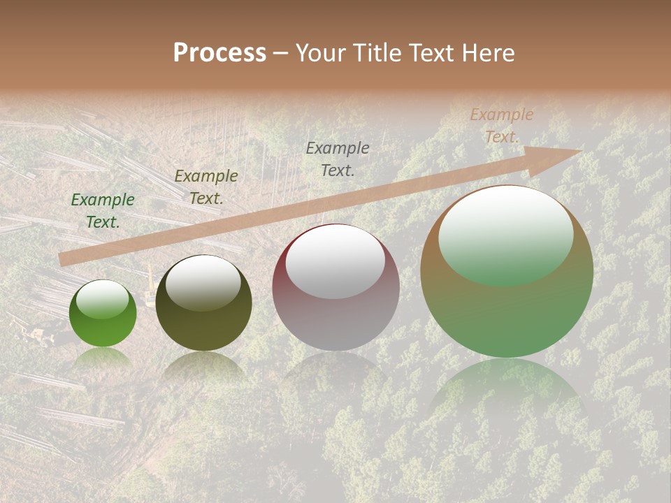 Pine Trees Rural Harvesting PowerPoint Template