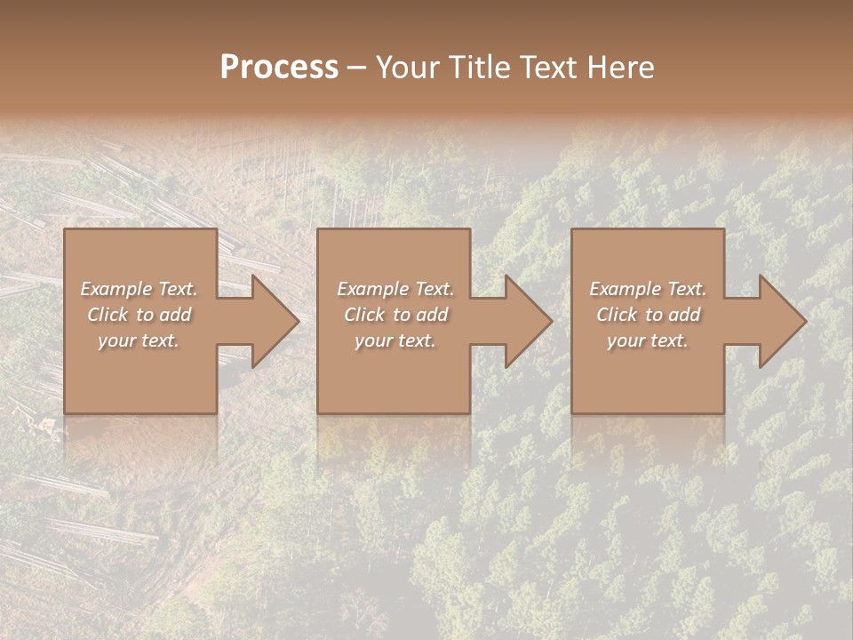 Pine Trees Rural Harvesting PowerPoint Template