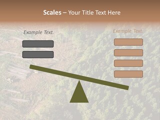 Pine Trees Rural Harvesting PowerPoint Template