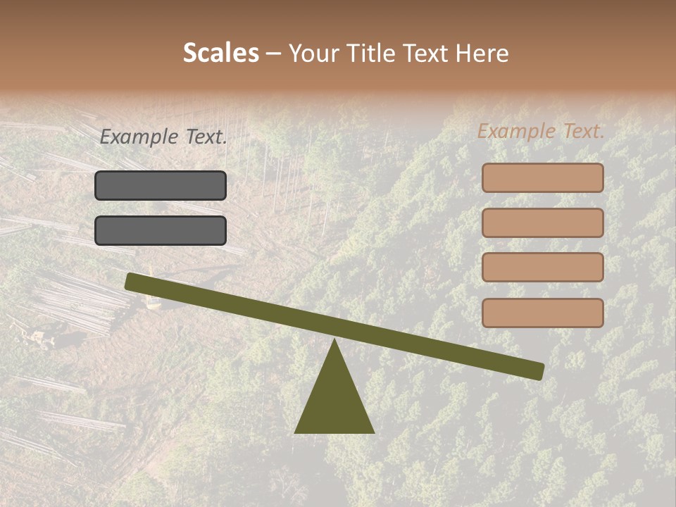 Pine Trees Rural Harvesting PowerPoint Template