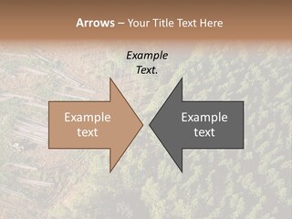 Pine Trees Rural Harvesting PowerPoint Template