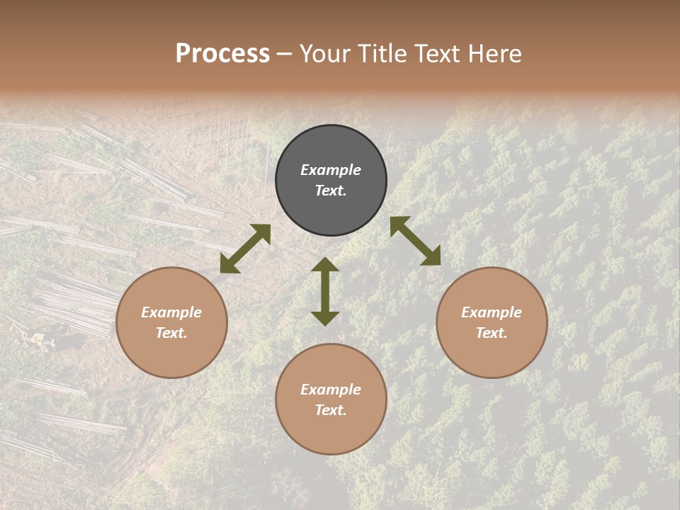 Pine Trees Rural Harvesting PowerPoint Template