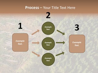 Pine Trees Rural Harvesting PowerPoint Template
