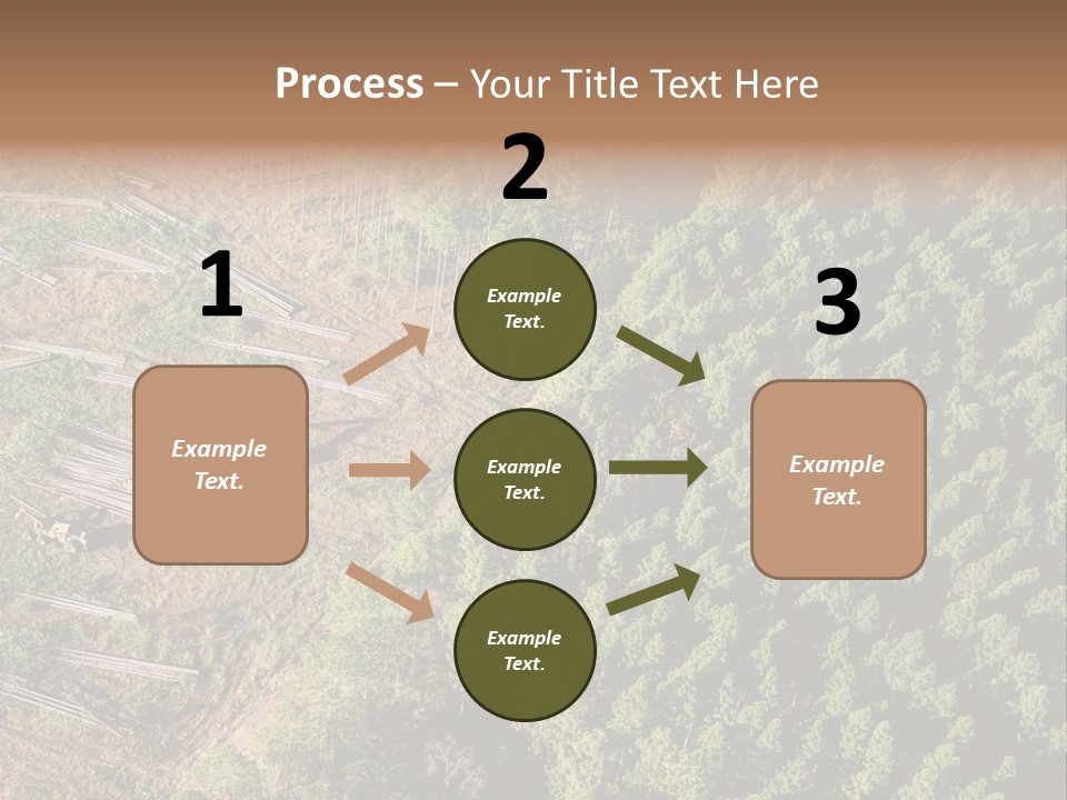 Pine Trees Rural Harvesting PowerPoint Template