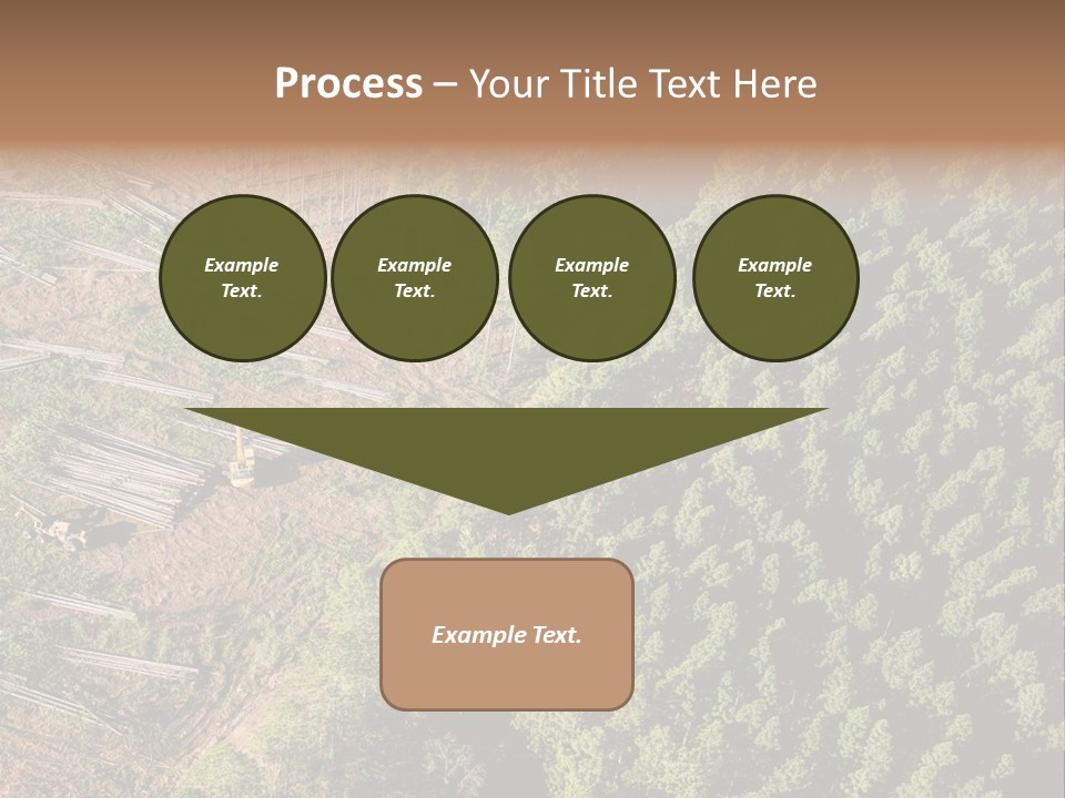 Pine Trees Rural Harvesting PowerPoint Template