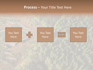 Pine Trees Rural Harvesting PowerPoint Template