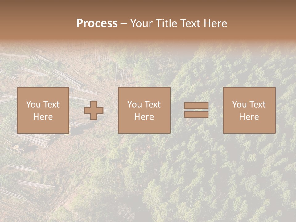 Pine Trees Rural Harvesting PowerPoint Template
