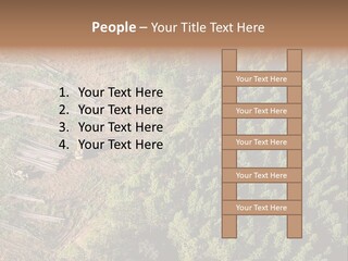 Pine Trees Rural Harvesting PowerPoint Template