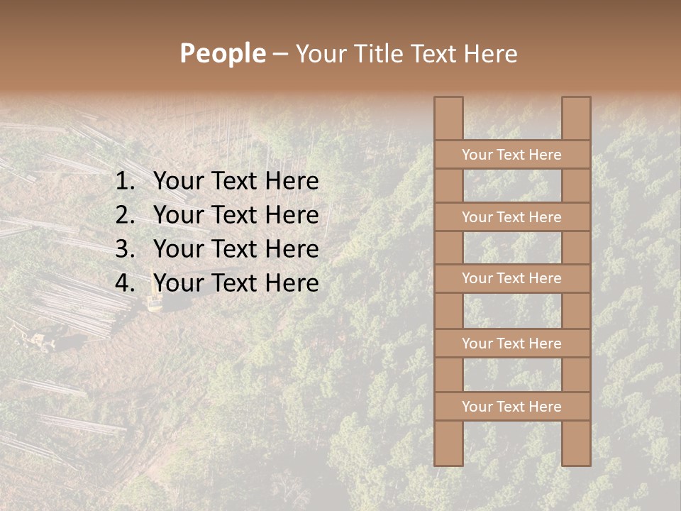 Pine Trees Rural Harvesting PowerPoint Template