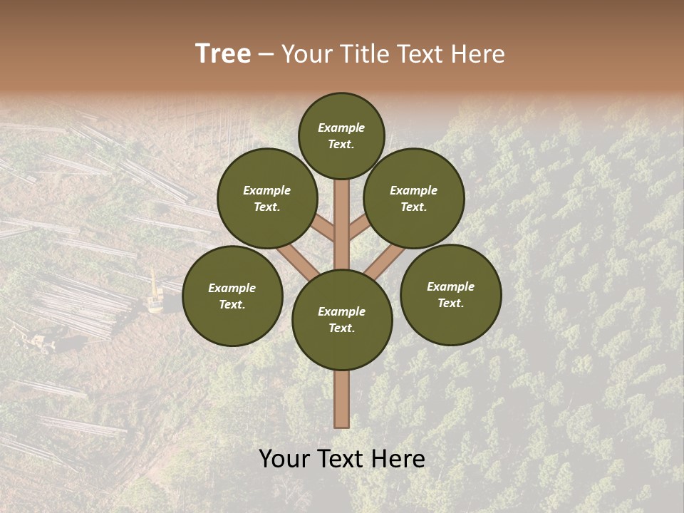 Pine Trees Rural Harvesting PowerPoint Template
