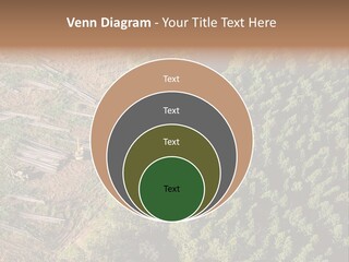 Pine Trees Rural Harvesting PowerPoint Template