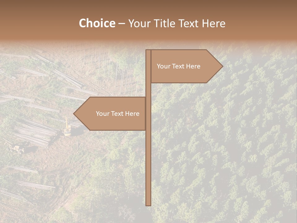 Pine Trees Rural Harvesting PowerPoint Template