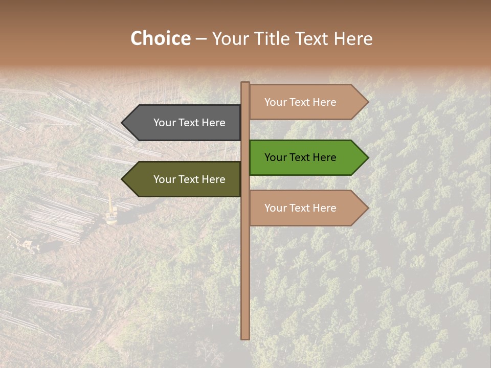 Pine Trees Rural Harvesting PowerPoint Template