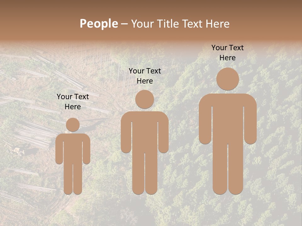 Pine Trees Rural Harvesting PowerPoint Template