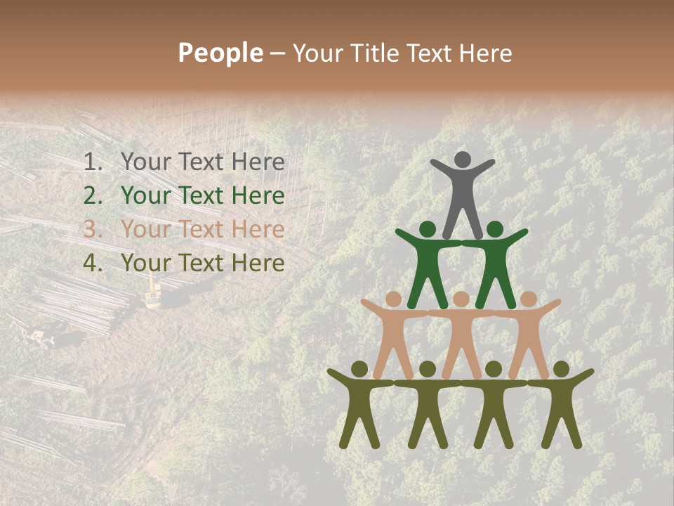 Pine Trees Rural Harvesting PowerPoint Template