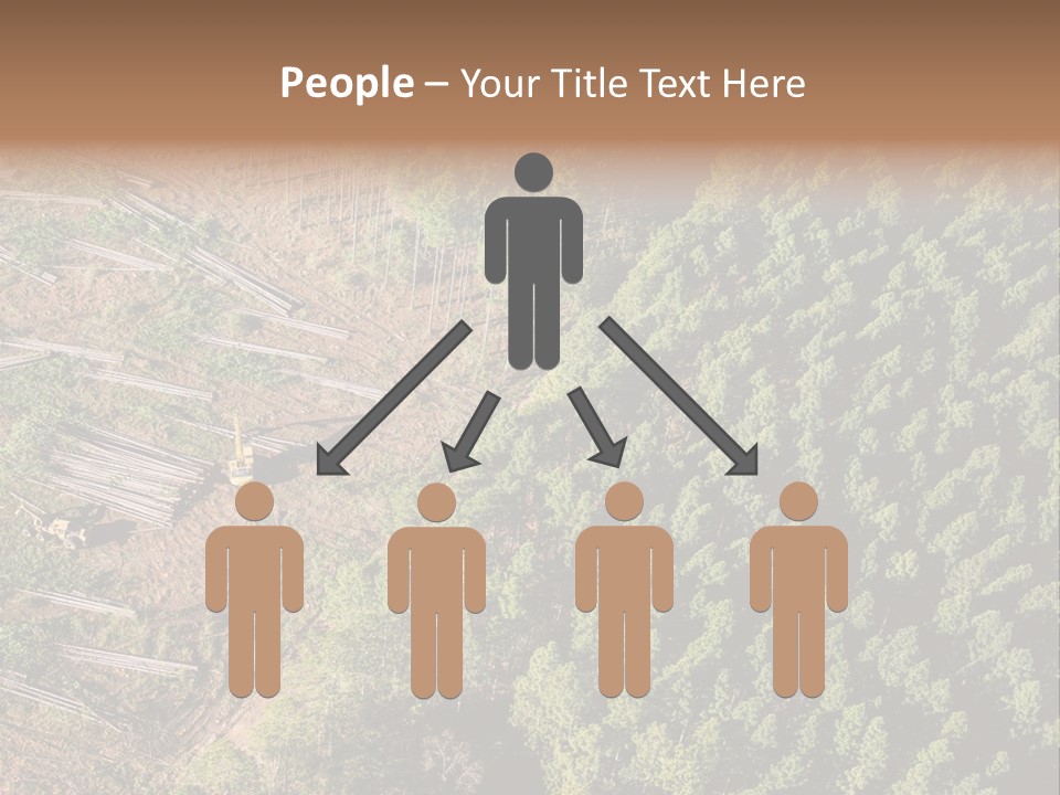 Pine Trees Rural Harvesting PowerPoint Template