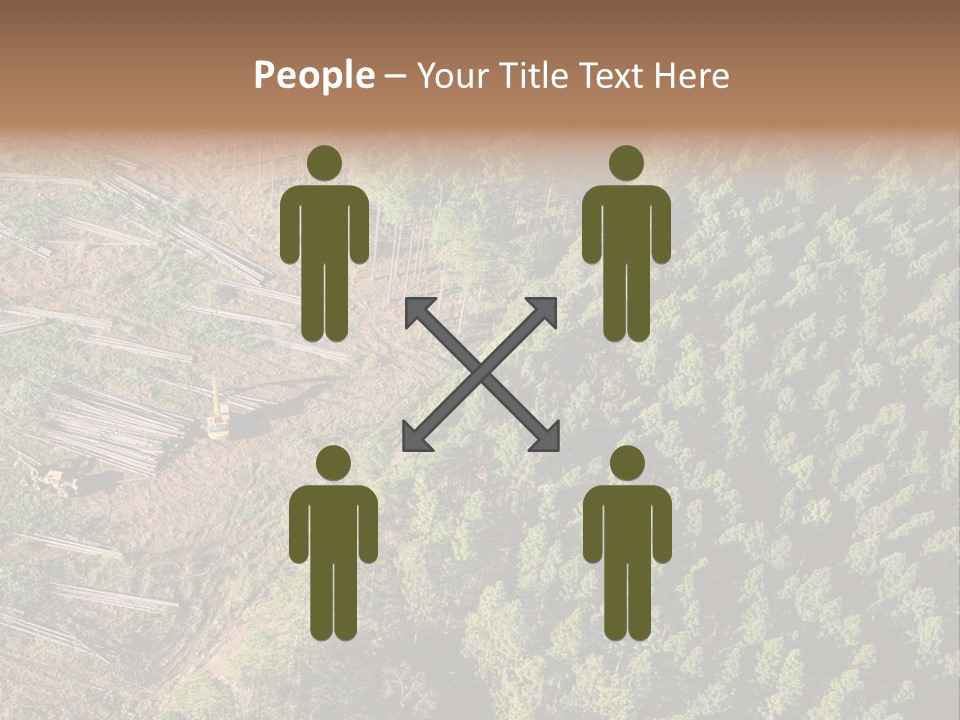 Pine Trees Rural Harvesting PowerPoint Template