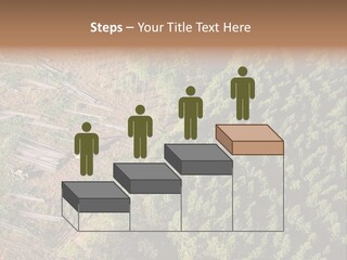 Pine Trees Rural Harvesting PowerPoint Template