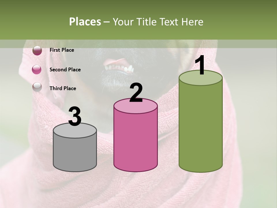 Studio Indoor Dog PowerPoint Template