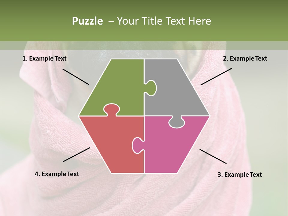 Studio Indoor Dog PowerPoint Template