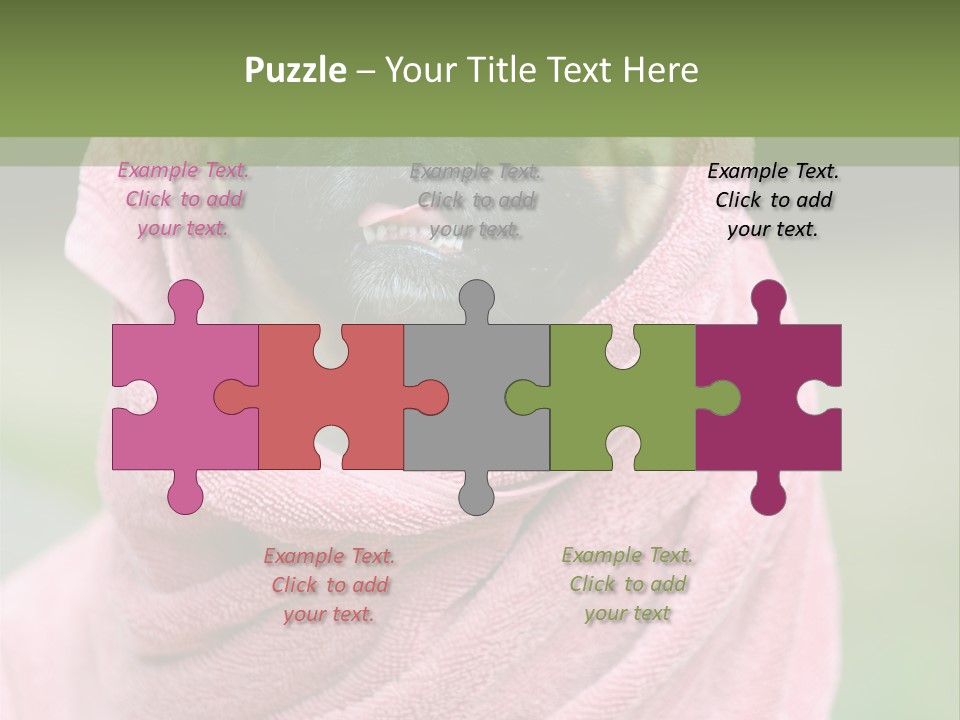 Studio Indoor Dog PowerPoint Template