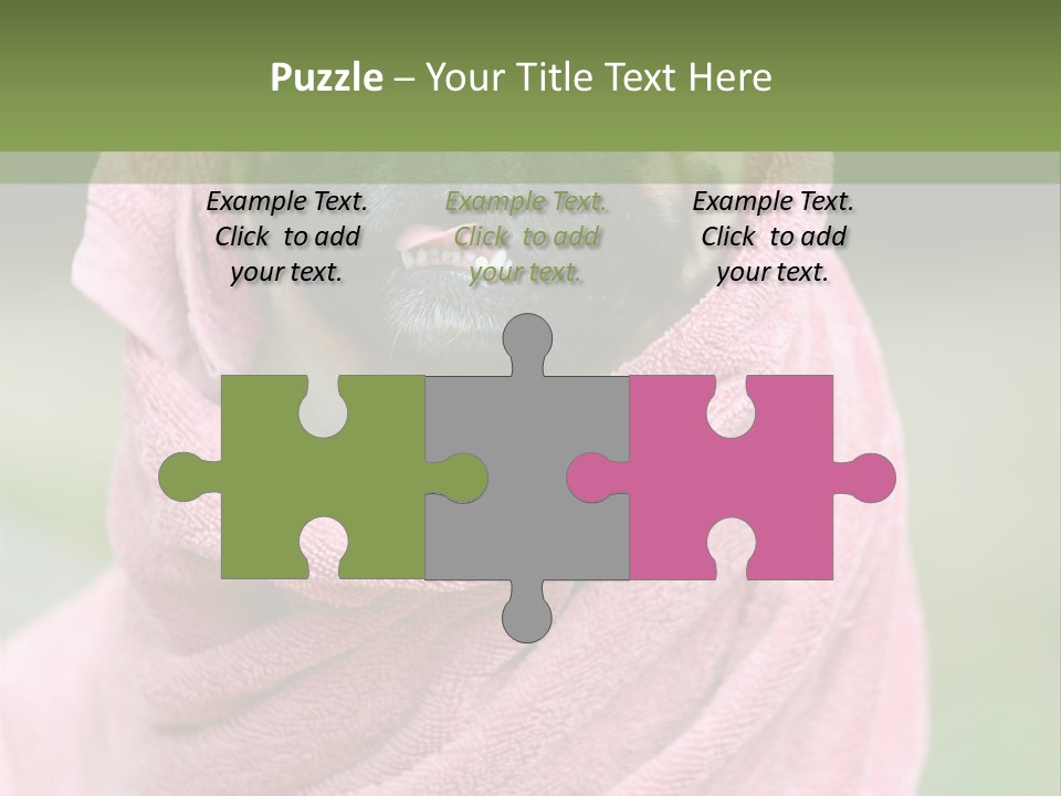 Studio Indoor Dog PowerPoint Template