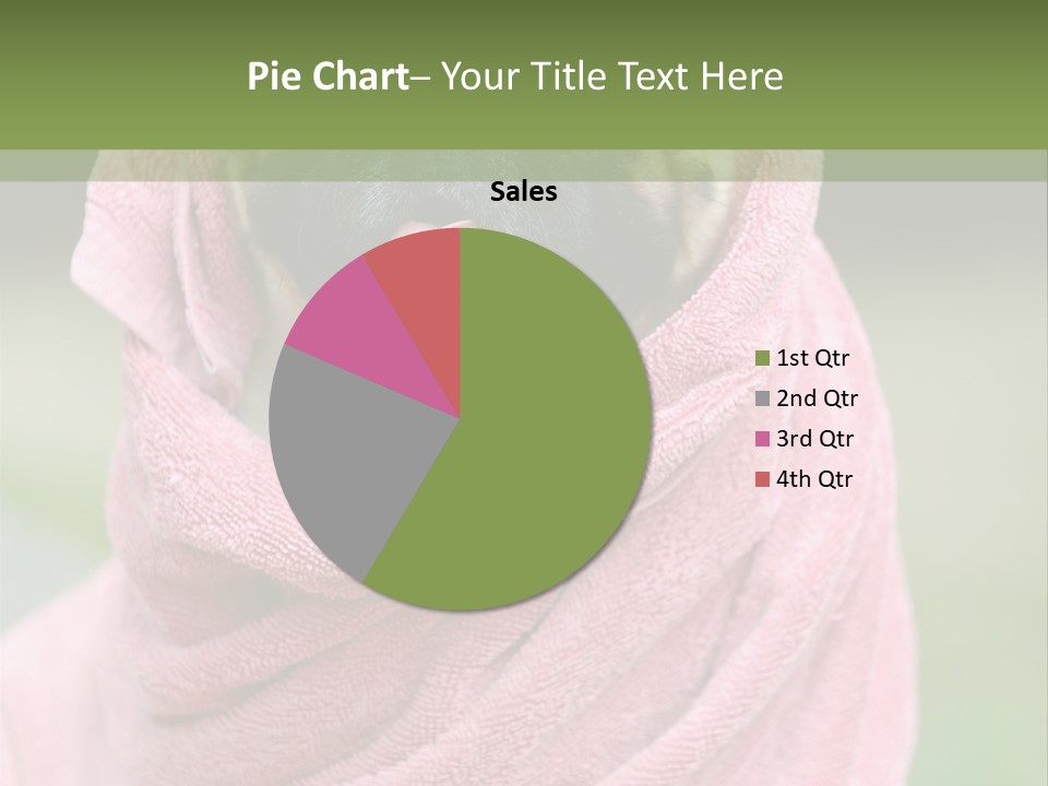 Studio Indoor Dog PowerPoint Template