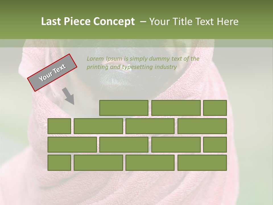 Studio Indoor Dog PowerPoint Template