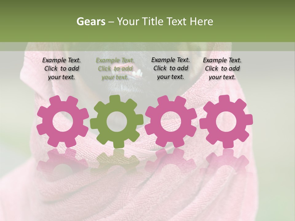 Studio Indoor Dog PowerPoint Template