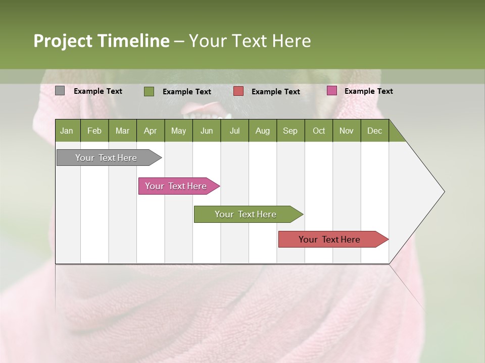 Studio Indoor Dog PowerPoint Template