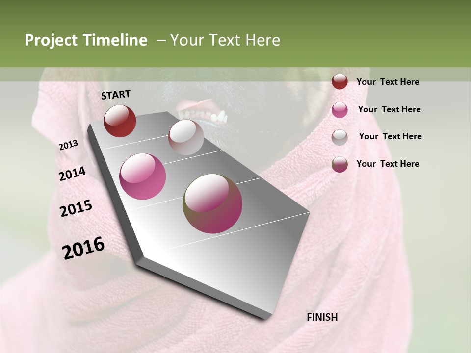 Studio Indoor Dog PowerPoint Template