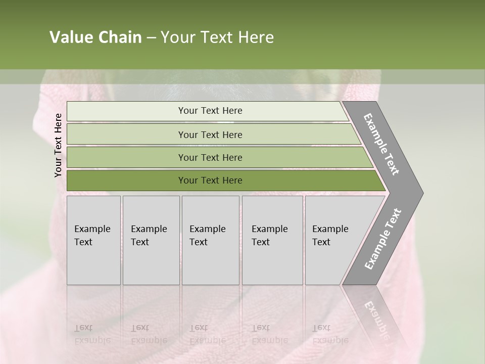 Studio Indoor Dog PowerPoint Template