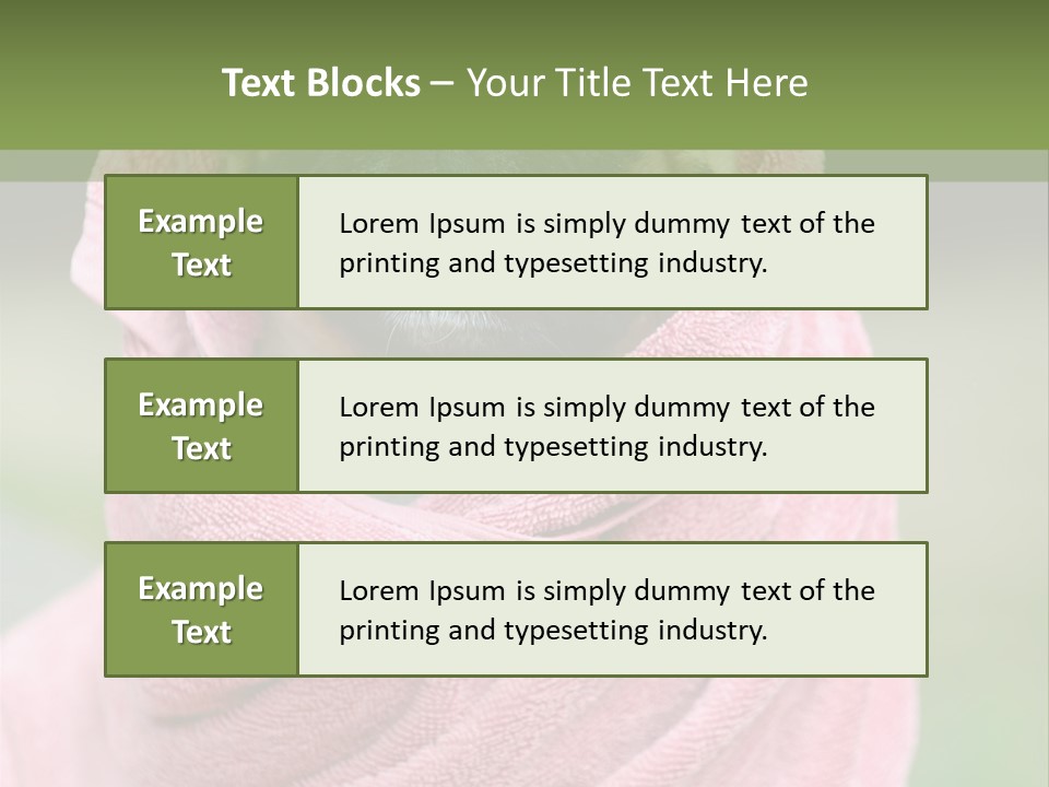 Studio Indoor Dog PowerPoint Template