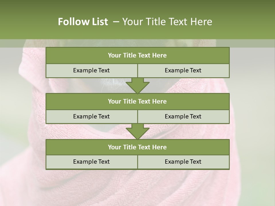 Studio Indoor Dog PowerPoint Template