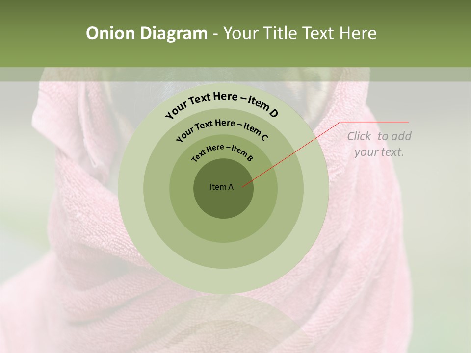 Studio Indoor Dog PowerPoint Template