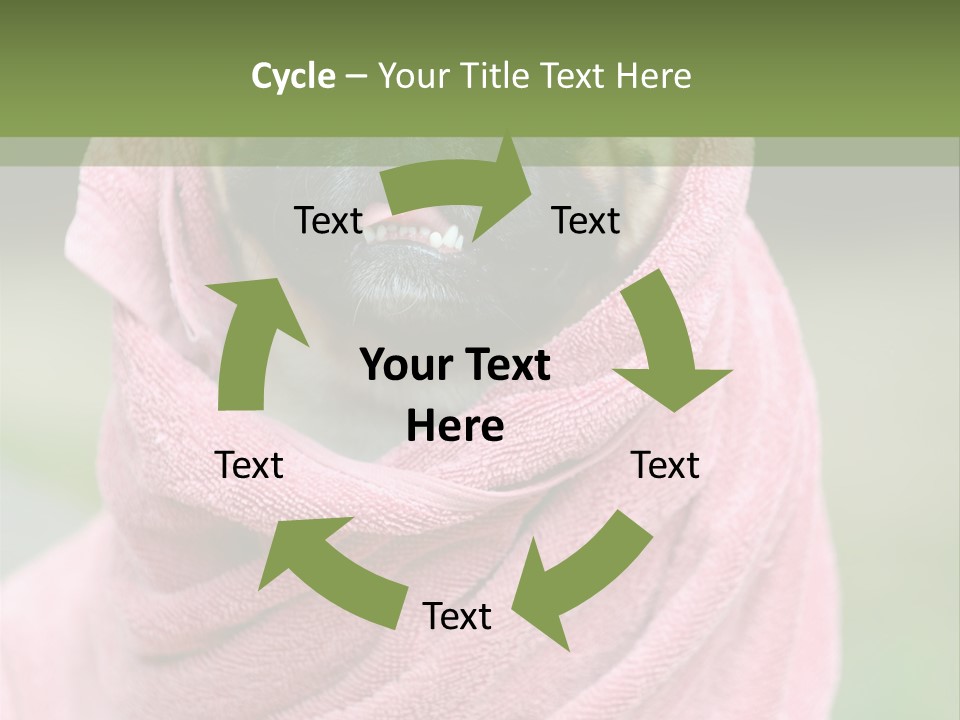 Studio Indoor Dog PowerPoint Template