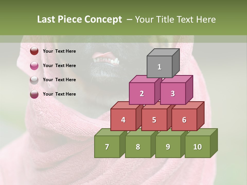 Studio Indoor Dog PowerPoint Template