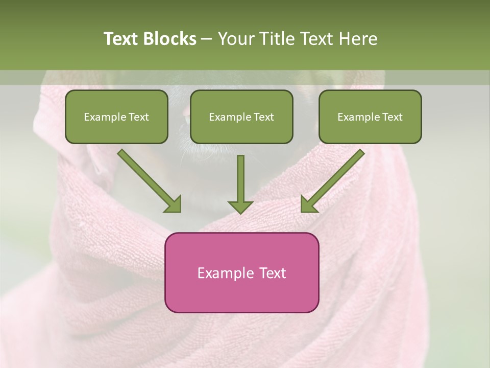 Studio Indoor Dog PowerPoint Template