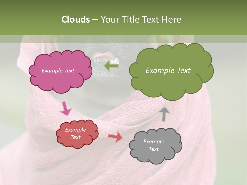 Studio Indoor Dog PowerPoint Template