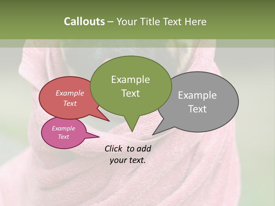 Studio Indoor Dog PowerPoint Template