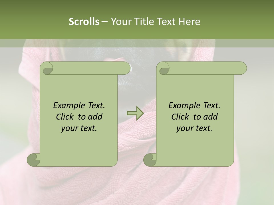 Studio Indoor Dog PowerPoint Template