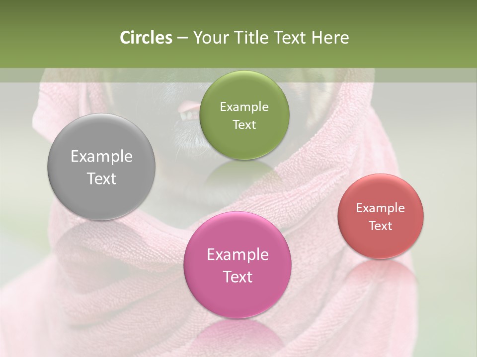 Studio Indoor Dog PowerPoint Template