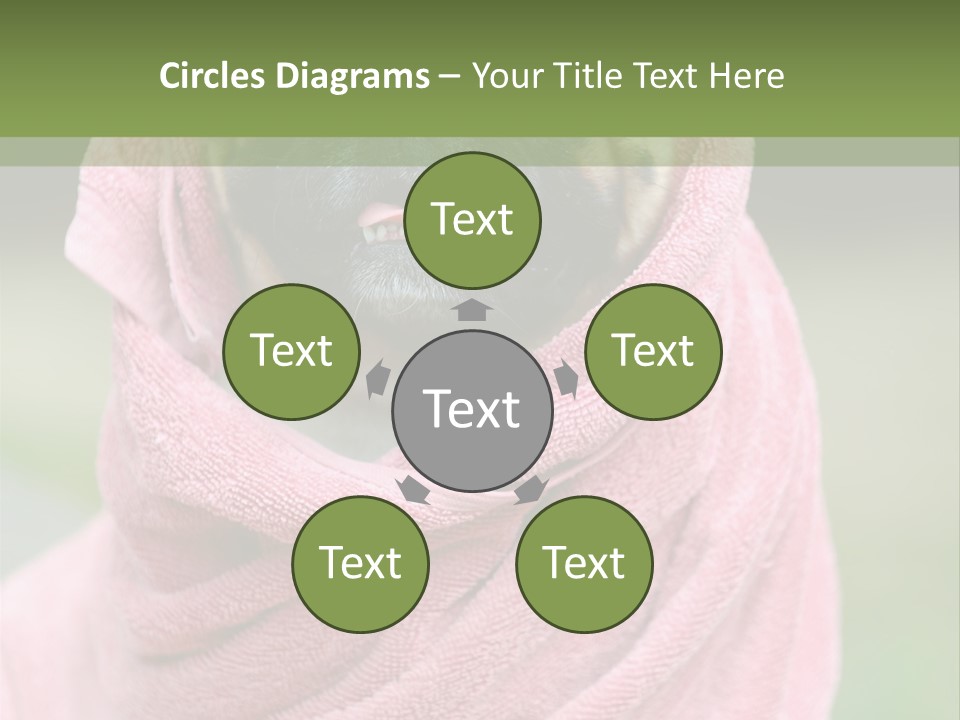 Studio Indoor Dog PowerPoint Template