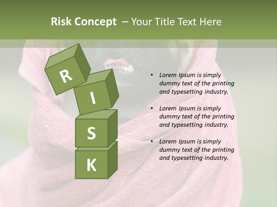 Studio Indoor Dog PowerPoint Template