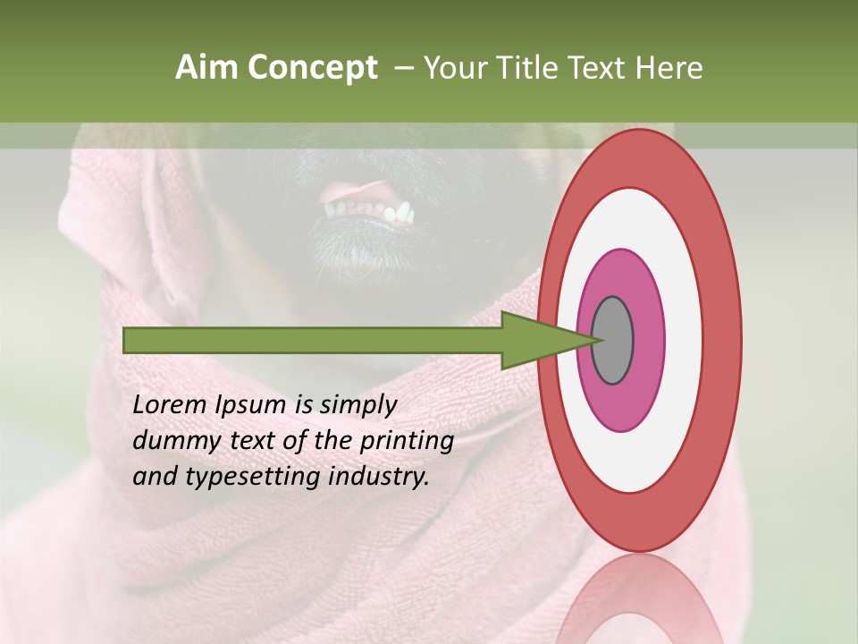 Studio Indoor Dog PowerPoint Template