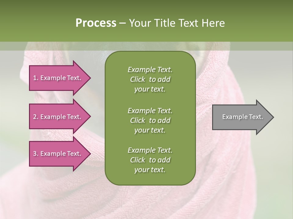 Studio Indoor Dog PowerPoint Template