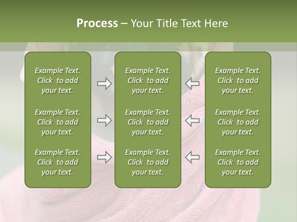 Studio Indoor Dog PowerPoint Template